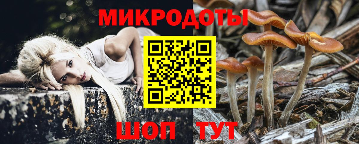 Галлюциногенные грибы Бийск