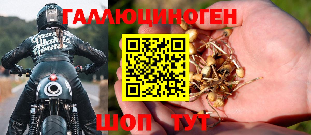 Галлюциногенные грибы Magic Shrooms Бийск