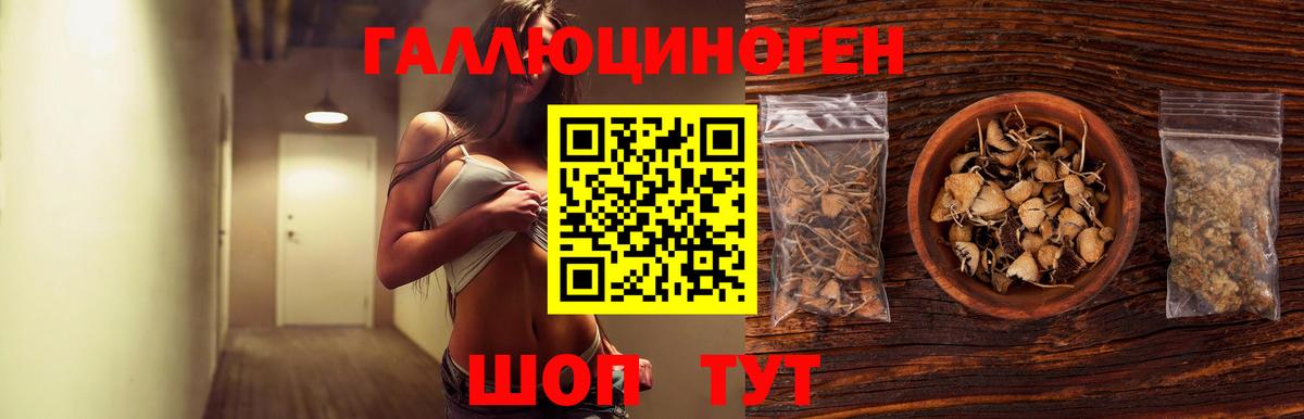 Галлюциногенные грибы Psilocybe  Вход с VPN  Бийск  Галлюциногенные грибы мухоморы 